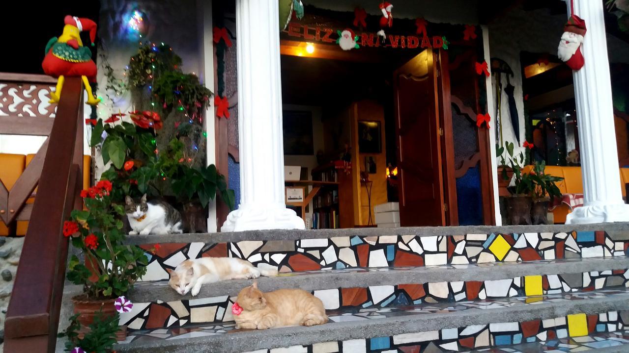 Coliving La Boira Acomodação com café da manhã Jardin Exterior foto