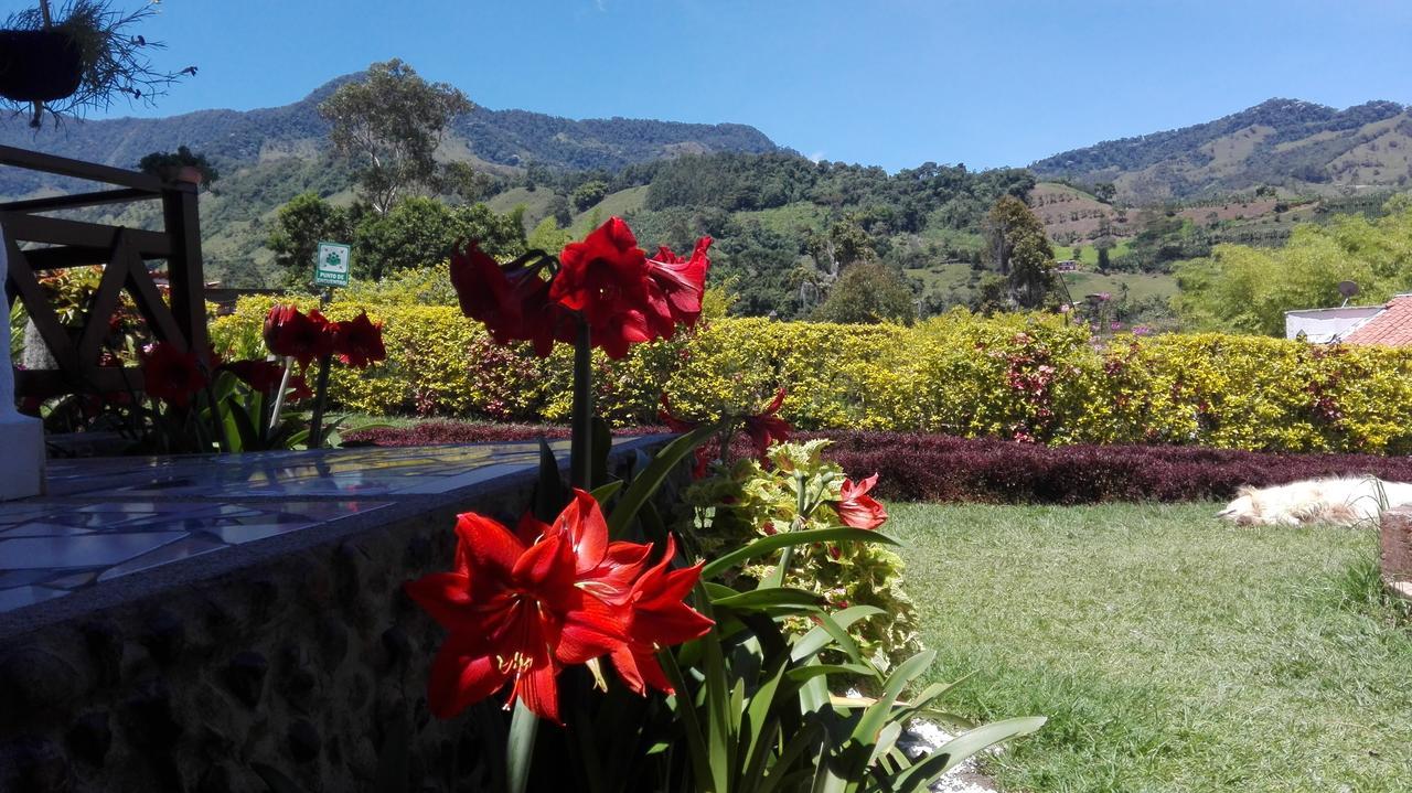 Coliving La Boira Acomodação com café da manhã Jardin Exterior foto